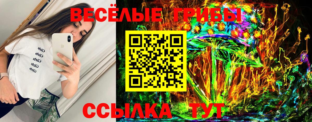даркнет сайт  Псилоцибиновые грибы Magic Shrooms  Вход с VPN  Гусь-Хрустальный 